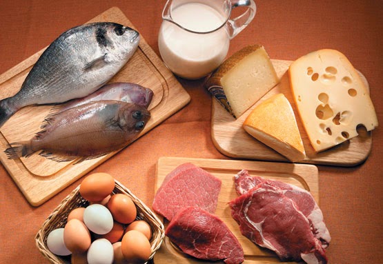¿Qué son las proteínas? Di NO a las dietas hiperproteicas
